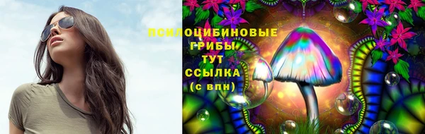 гашик Кукмор