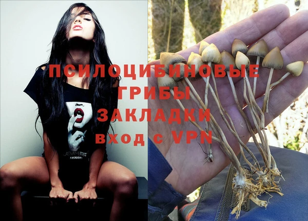 спайс Болохово