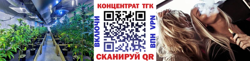 Купить  Новодвинск  Дистиллят ТГК концентрат 