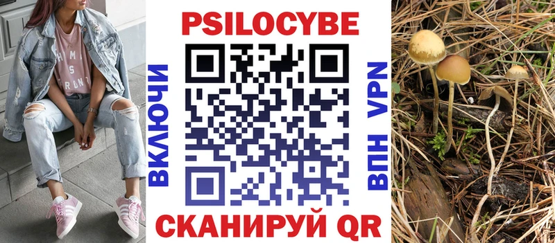 Купить где  Новодвинск  Псилоцибиновые грибы ЛСД 